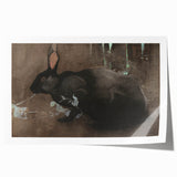 Grunge Wall Art: Black Rabbit Design | Vintage Grunge Canvas Print