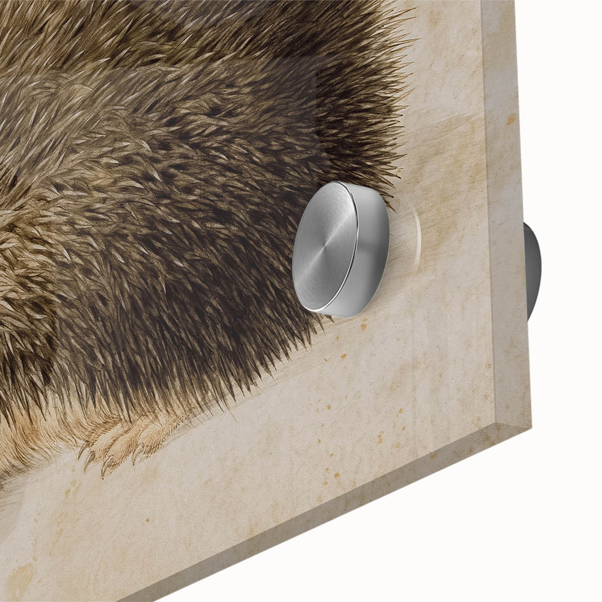 Grunge Wall Art: Hedgehog Illustration | Vintage Grunge Canvas Print