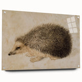 Grunge Wall Art: Hedgehog Illustration | Vintage Grunge Canvas Print