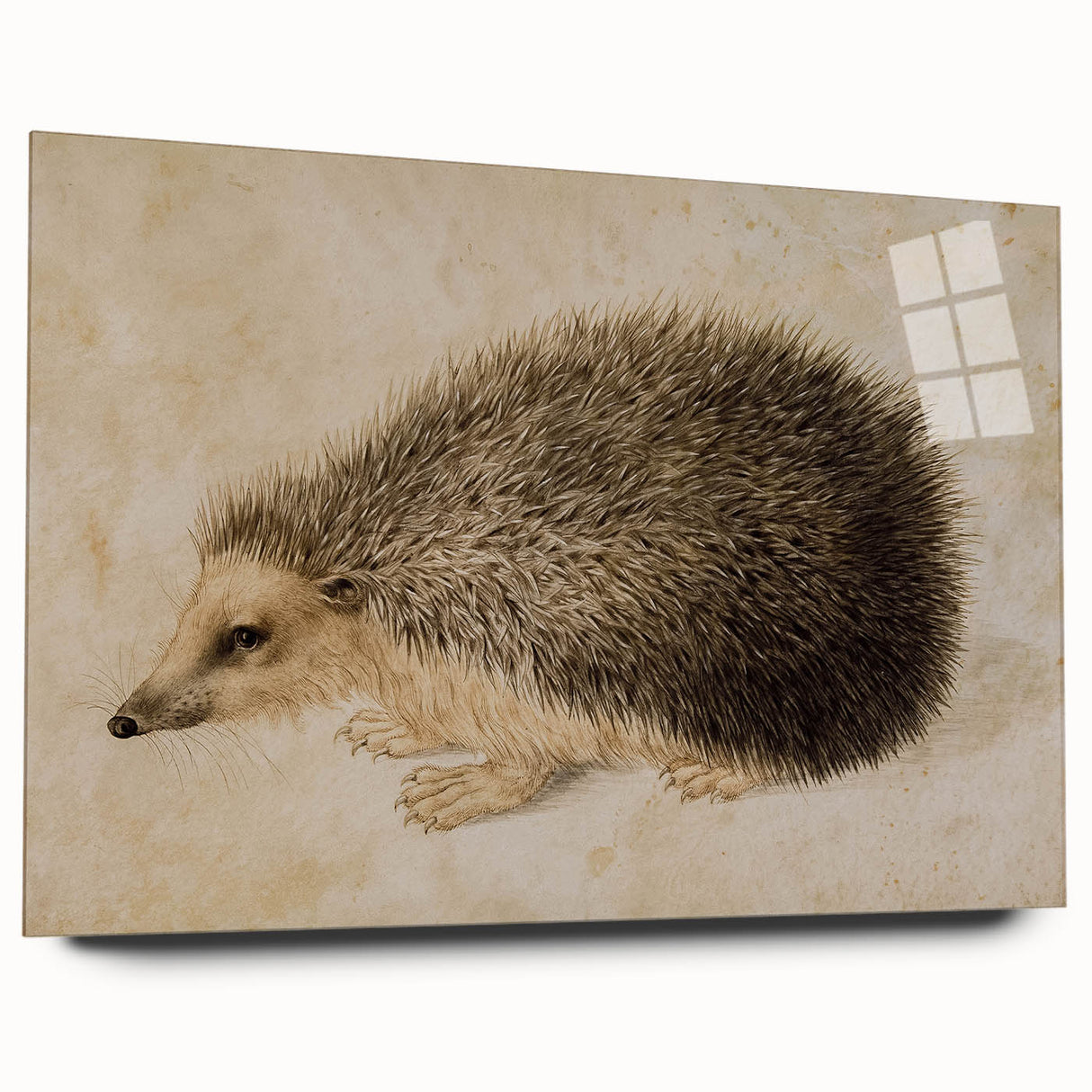 Grunge Wall Art: Hedgehog Illustration | Vintage Grunge Canvas Print