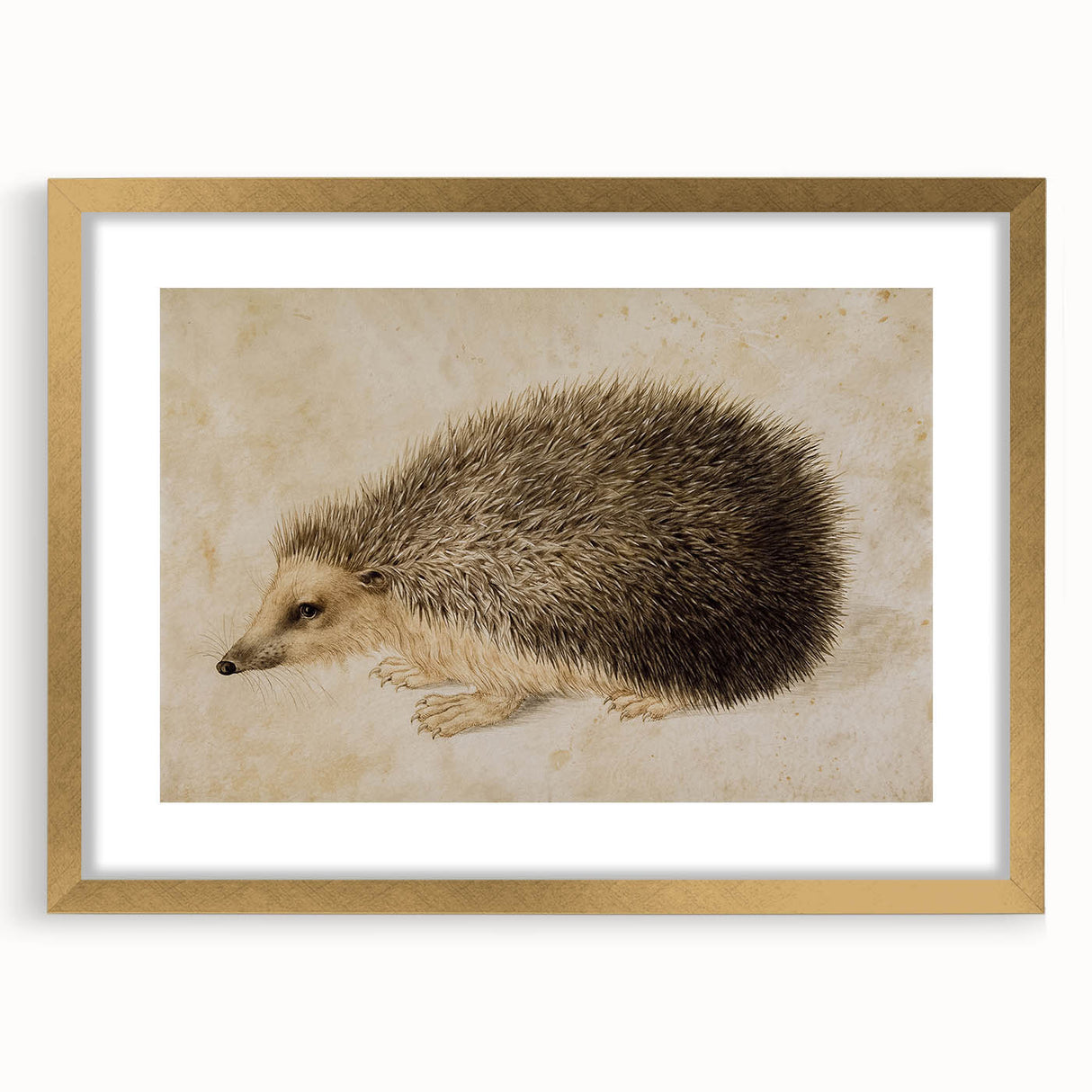 Grunge Wall Art: Hedgehog Illustration | Vintage Grunge Canvas Print