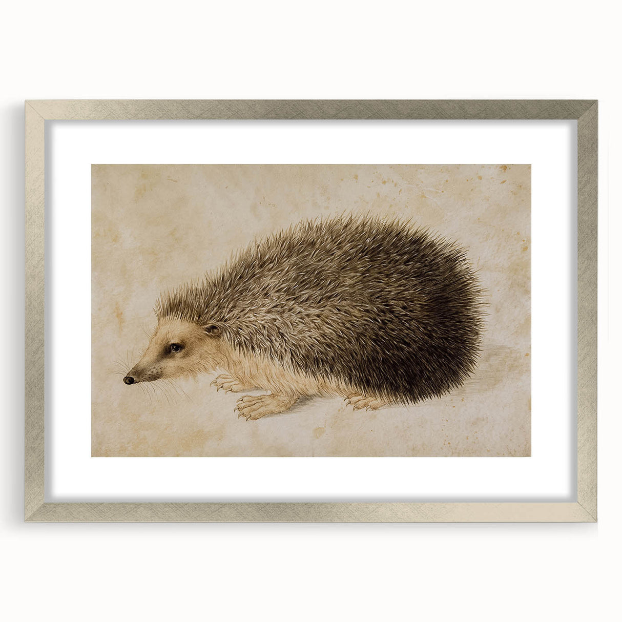 Grunge Wall Art: Hedgehog Illustration | Vintage Grunge Canvas Print