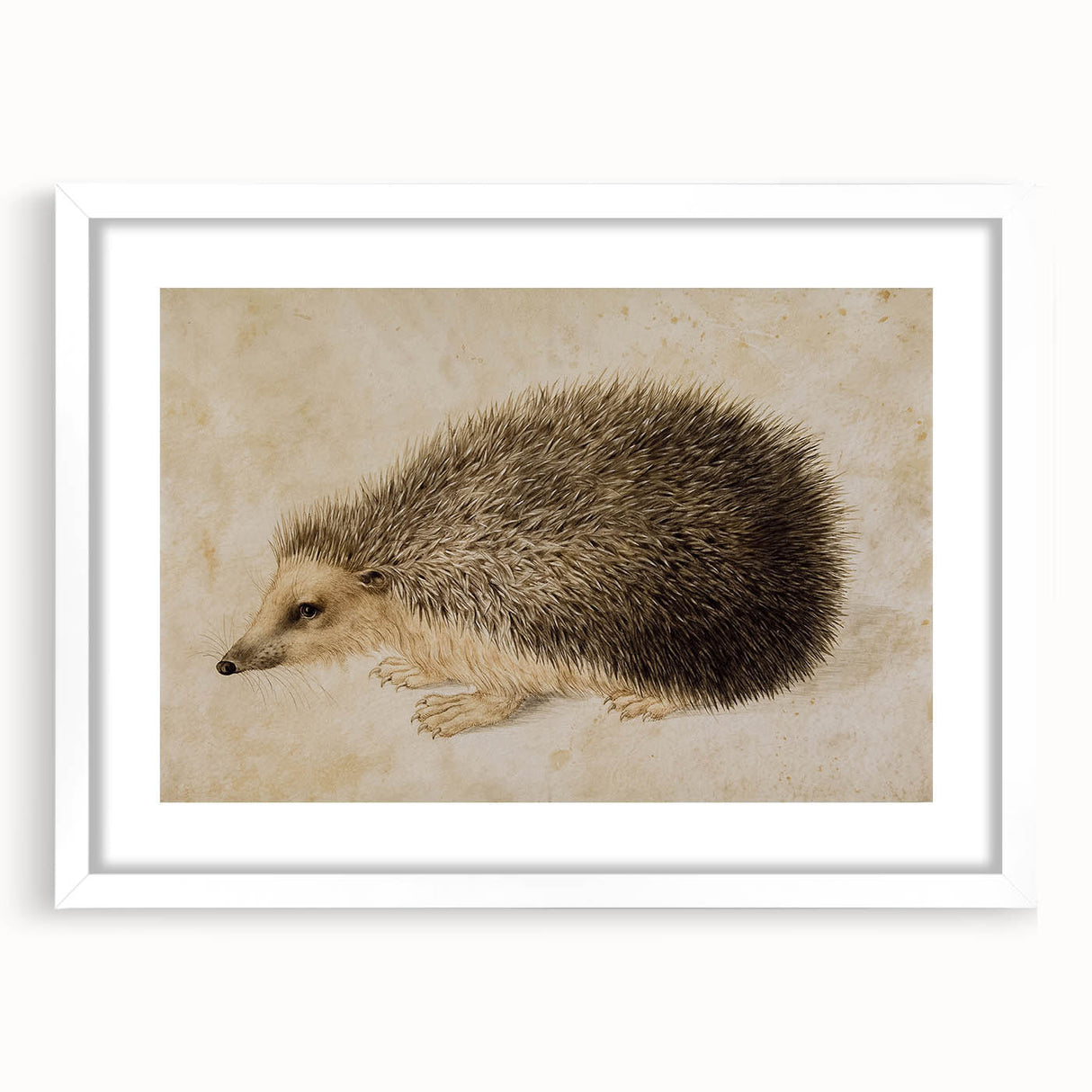 Grunge Wall Art: Hedgehog Illustration | Vintage Grunge Canvas Print