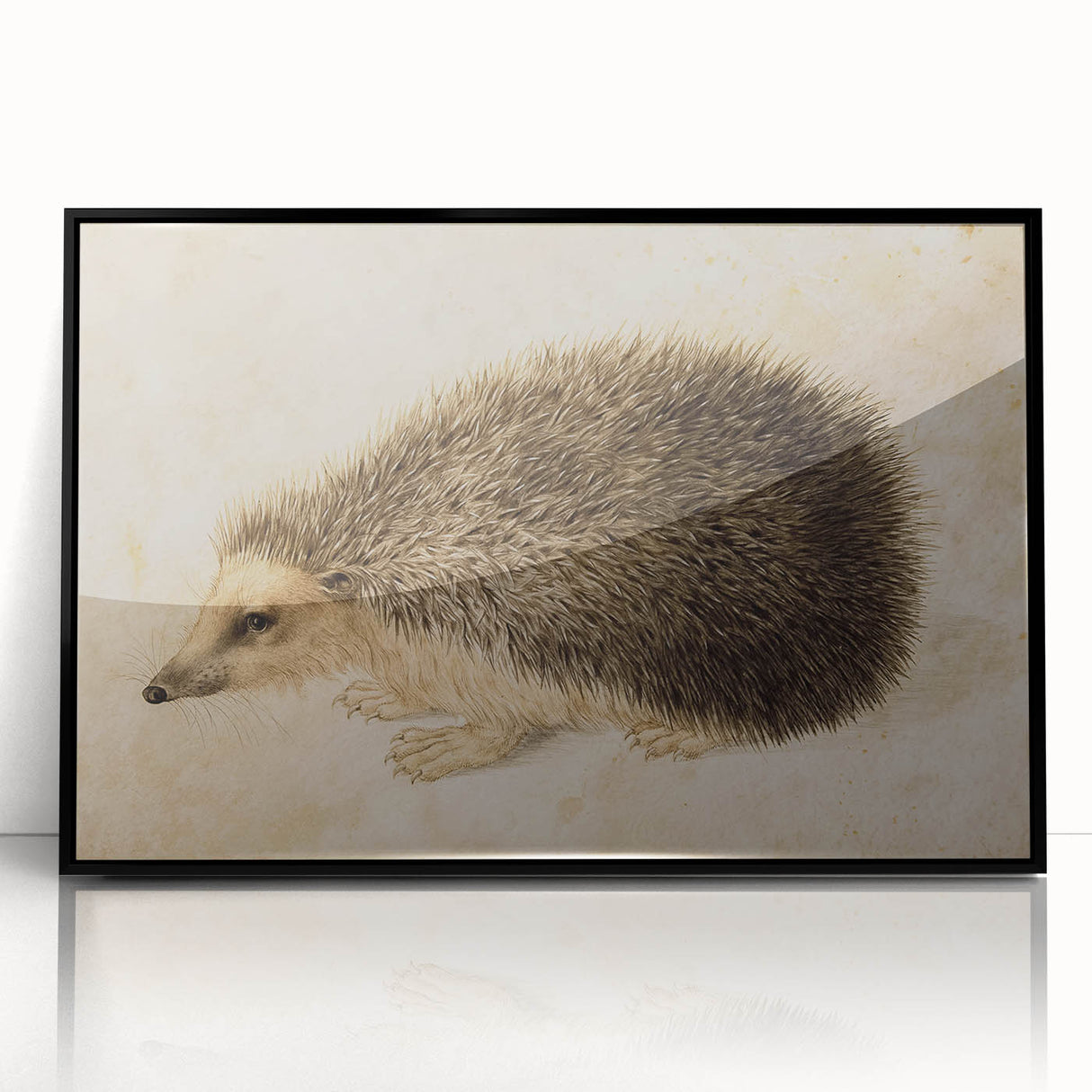 Grunge Wall Art: Hedgehog Illustration | Vintage Grunge Canvas Print