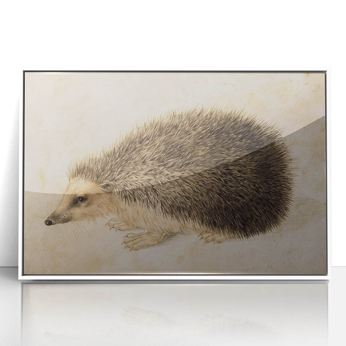 Grunge Wall Art: Hedgehog Illustration | Vintage Grunge Canvas Print