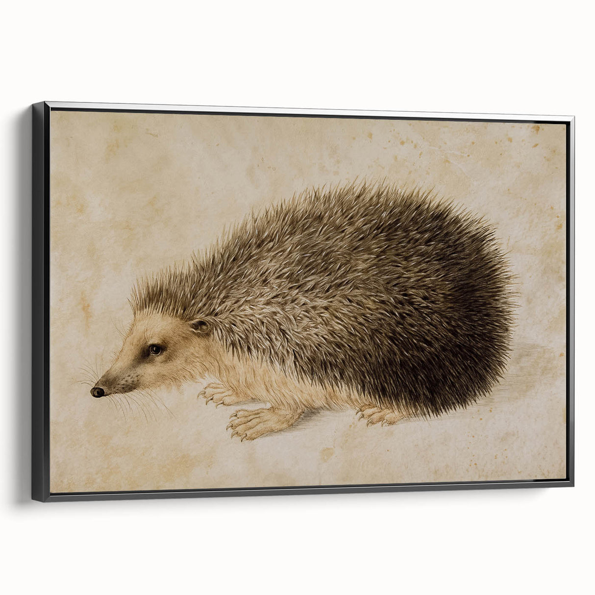 Grunge Wall Art: Hedgehog Illustration | Vintage Grunge Canvas Print