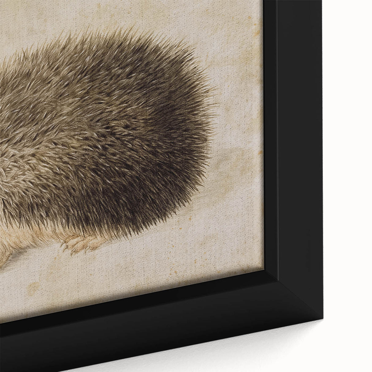 Grunge Wall Art: Hedgehog Illustration | Vintage Grunge Canvas Print