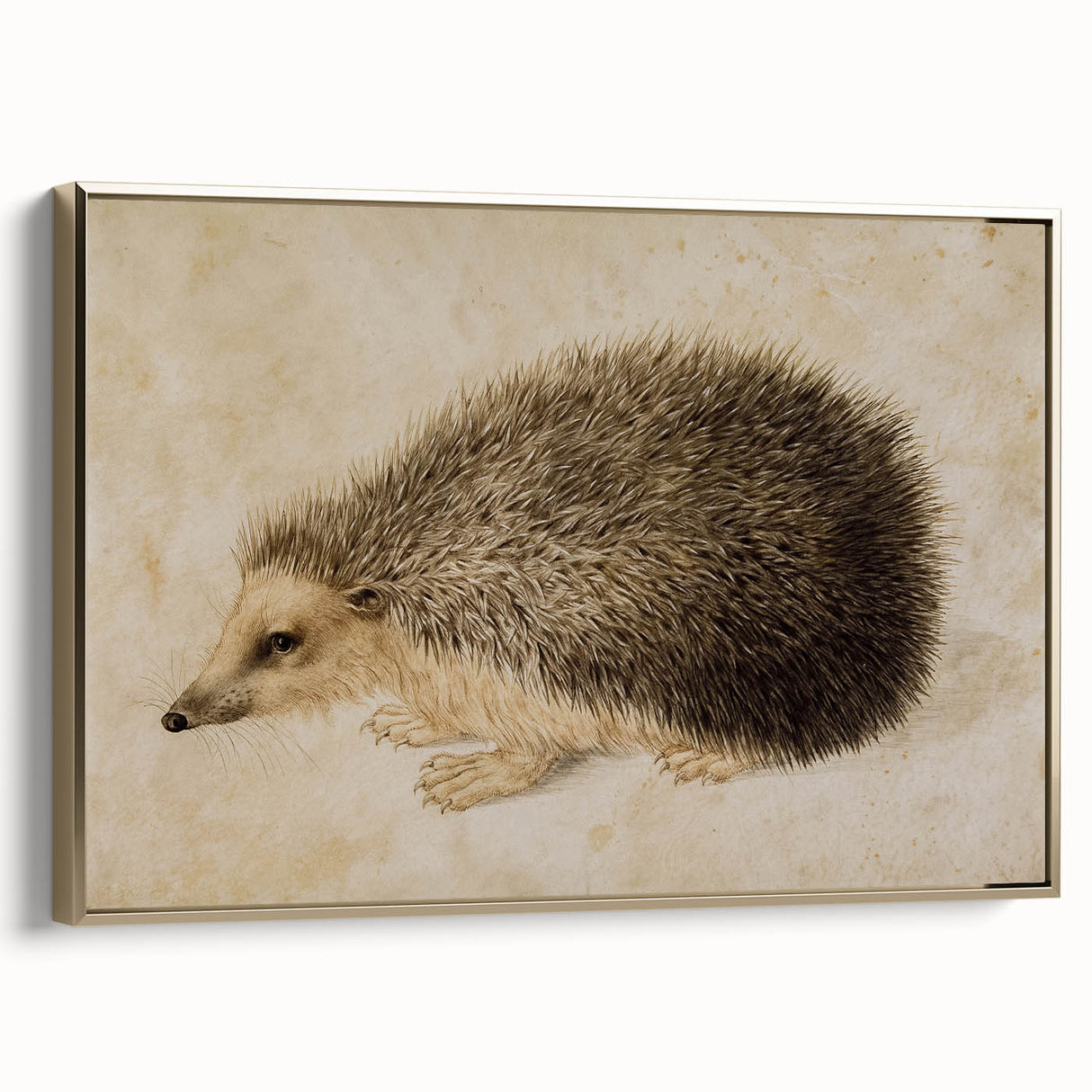 Grunge Wall Art: Hedgehog Illustration | Vintage Grunge Canvas Print