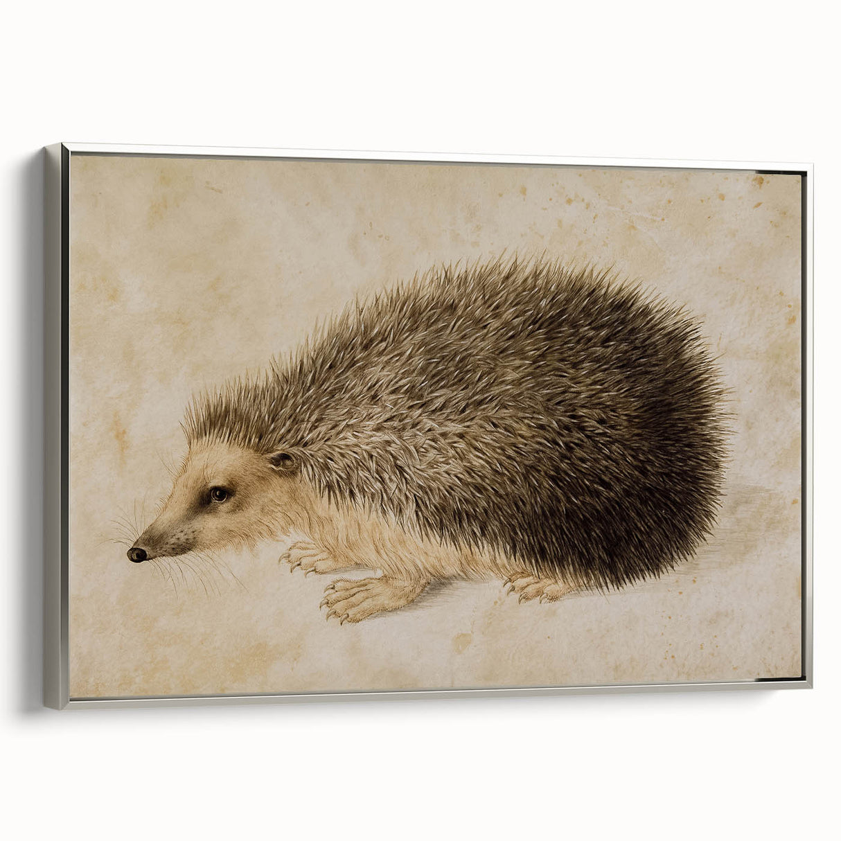 Grunge Wall Art: Hedgehog Illustration | Vintage Grunge Canvas Print