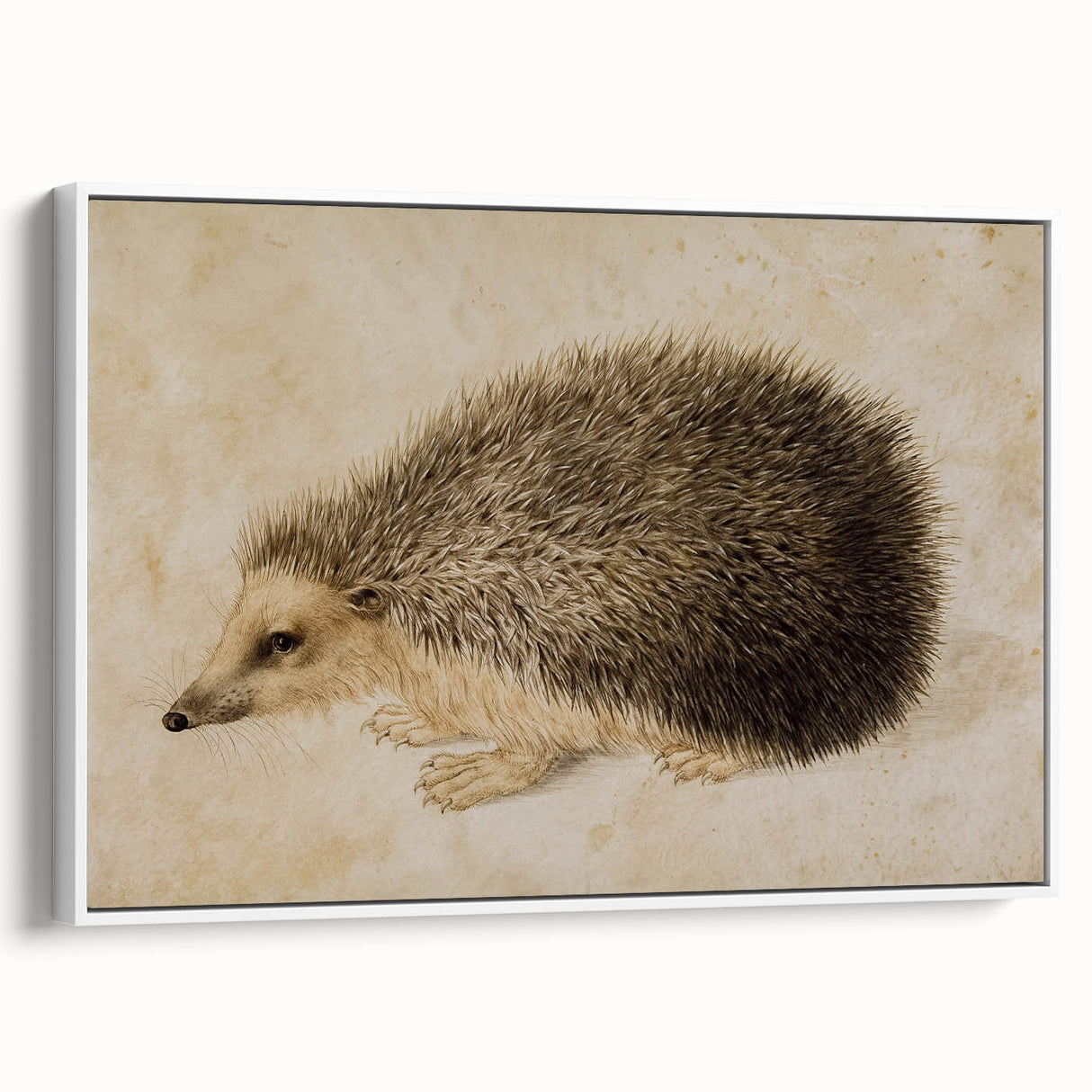 Grunge Wall Art: Hedgehog Illustration | Vintage Grunge Canvas Print
