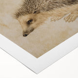 Grunge Wall Art: Hedgehog Illustration | Vintage Grunge Canvas Print