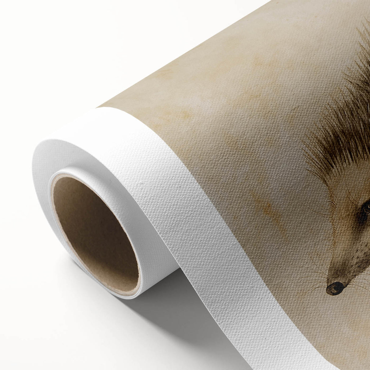 Grunge Wall Art: Hedgehog Illustration | Vintage Grunge Canvas Print