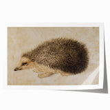 Grunge Wall Art: Hedgehog Illustration | Vintage Grunge Canvas Print