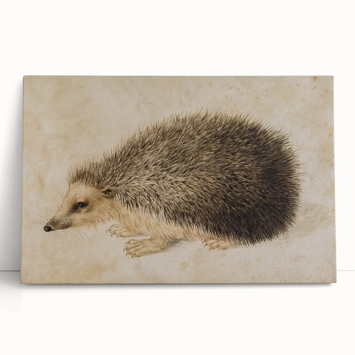 Grunge Wall Art: Hedgehog Illustration | Vintage Grunge Canvas Print