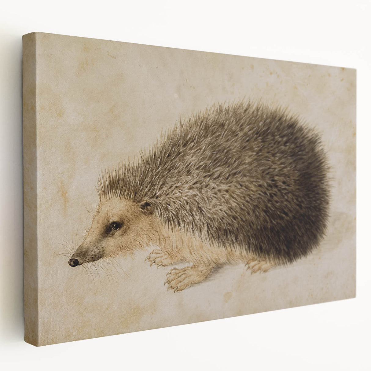 Grunge Wall Art: Hedgehog Illustration | Vintage Grunge Canvas Print