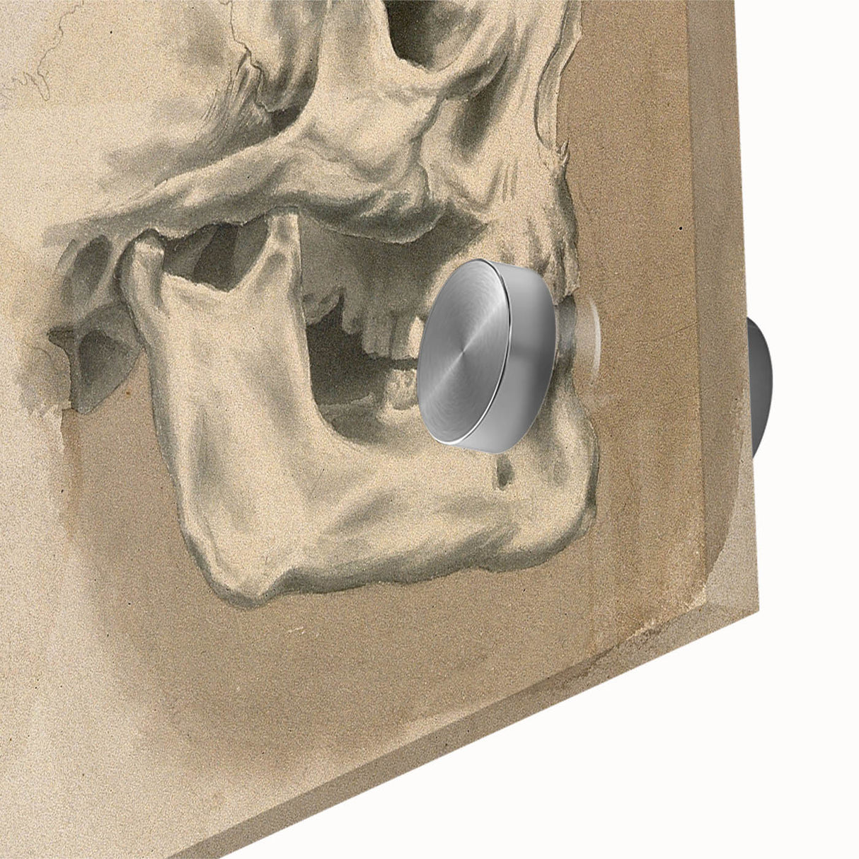 Grunge Aesthetic Art: Vintage Skull & Anatomy Grunge Wall Art on Canvas