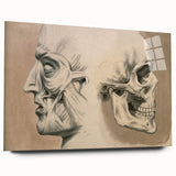 Grunge Aesthetic Art: Vintage Skull & Anatomy Grunge Wall Art on Canvas