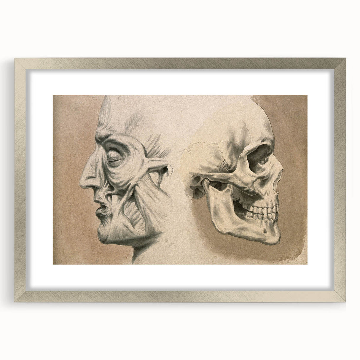 Grunge Aesthetic Art: Vintage Skull & Anatomy Grunge Wall Art on Canvas