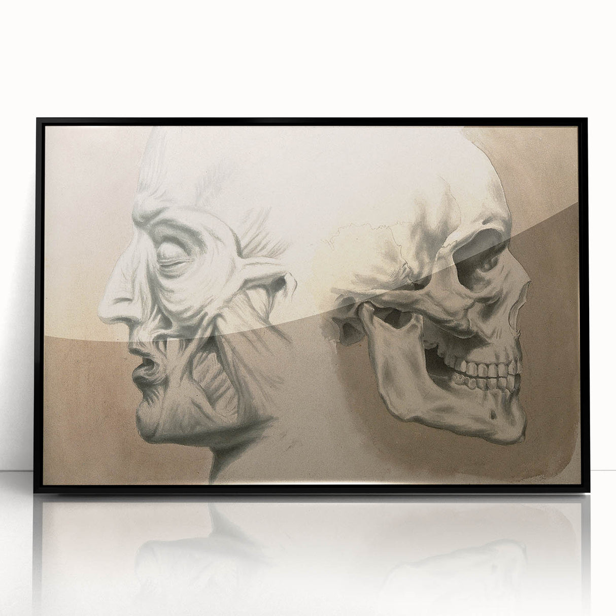 Grunge Aesthetic Art: Vintage Skull & Anatomy Grunge Wall Art on Canvas