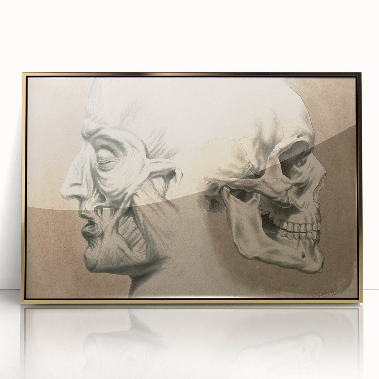 Grunge Aesthetic Art: Vintage Skull & Anatomy Grunge Wall Art on Canvas
