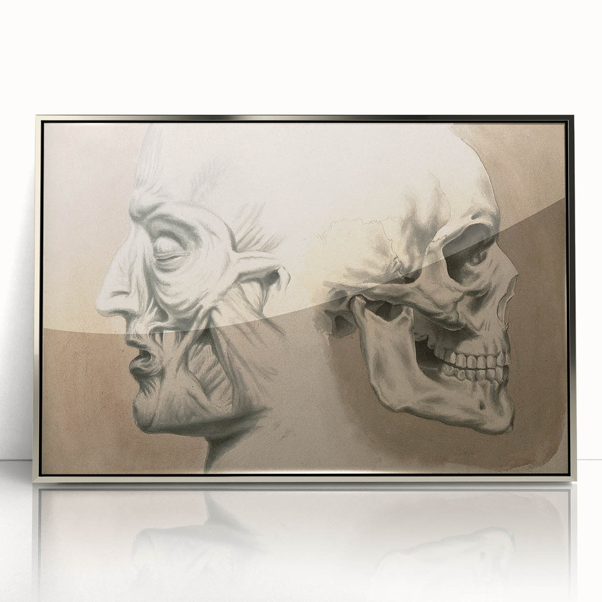 Grunge Aesthetic Art: Vintage Skull & Anatomy Grunge Wall Art on Canvas