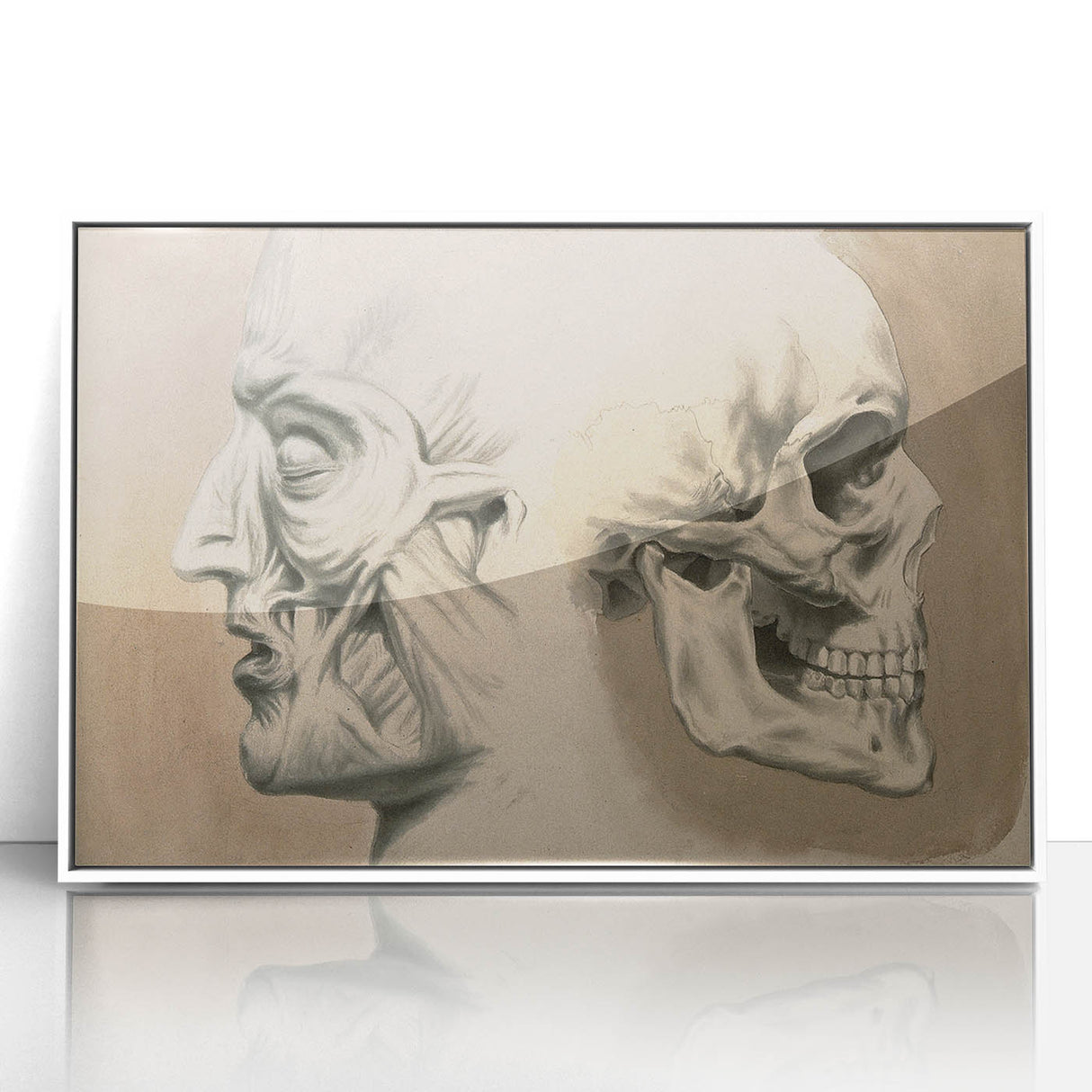 Grunge Aesthetic Art: Vintage Skull & Anatomy Grunge Wall Art on Canvas