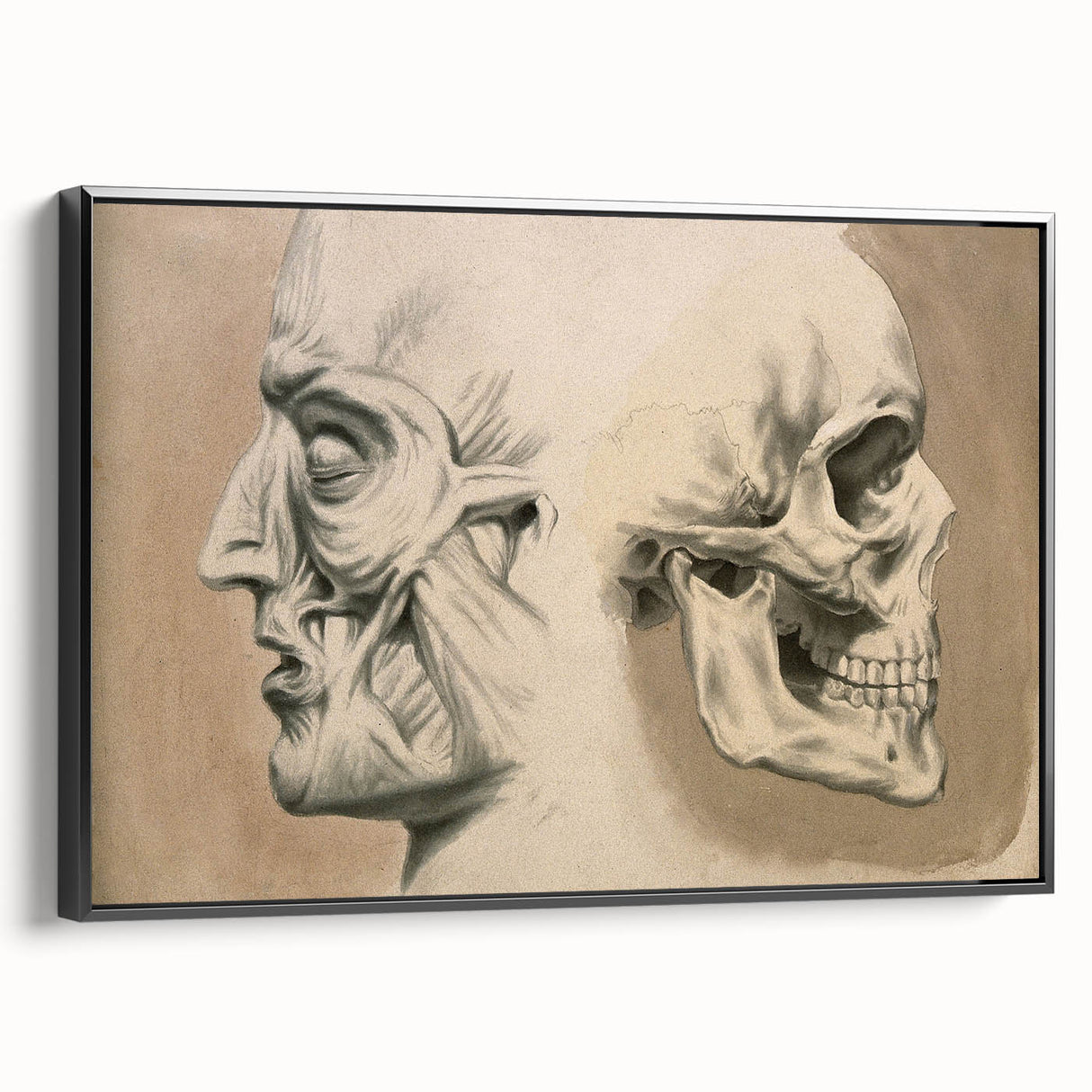 Grunge Aesthetic Art: Vintage Skull & Anatomy Grunge Wall Art on Canvas
