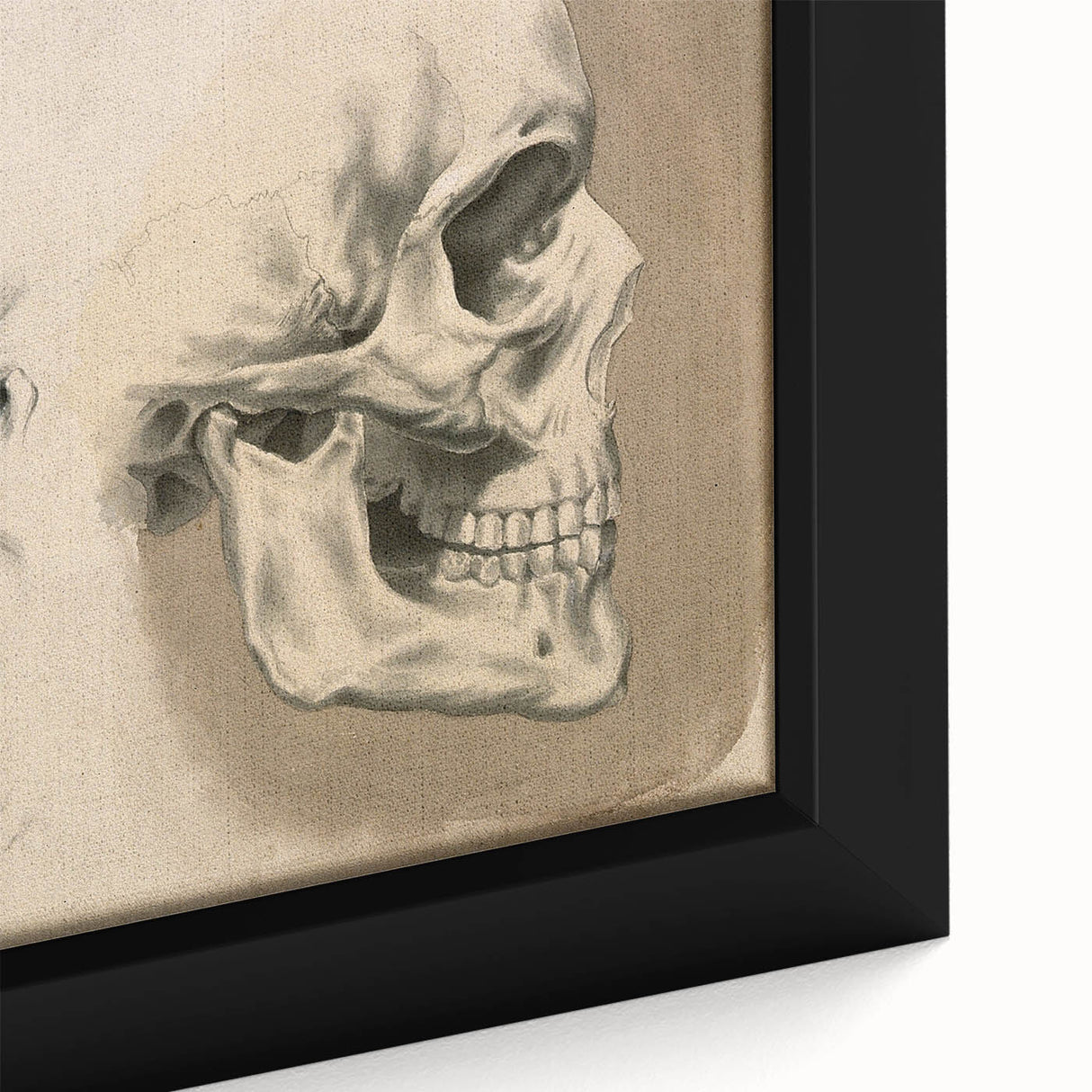 Grunge Aesthetic Art: Vintage Skull & Anatomy Grunge Wall Art on Canvas