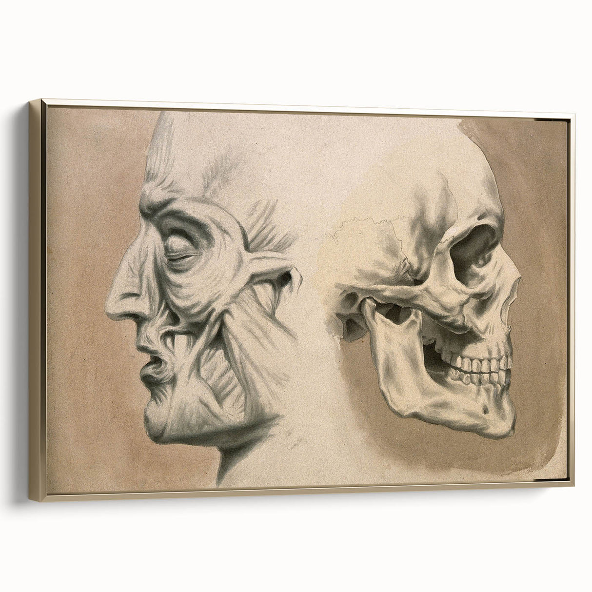 Grunge Aesthetic Art: Vintage Skull & Anatomy Grunge Wall Art on Canvas