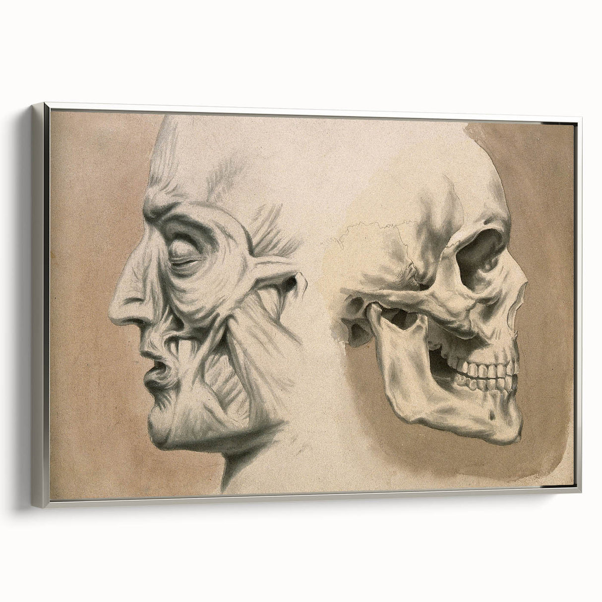 Grunge Aesthetic Art: Vintage Skull & Anatomy Grunge Wall Art on Canvas