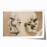 Grunge Aesthetic Art: Vintage Skull & Anatomy Grunge Wall Art on Canvas