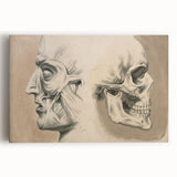 Grunge Aesthetic Art: Vintage Skull & Anatomy Grunge Wall Art on Canvas