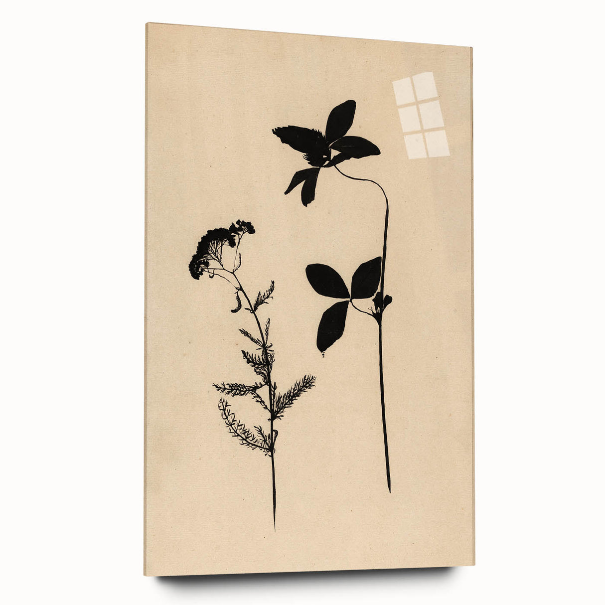 Grunge Wall Art - Botanical Silhouette Grunge Canvas Print for Decor