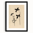 Grunge Wall Art - Botanical Silhouette Grunge Canvas Print for Decor