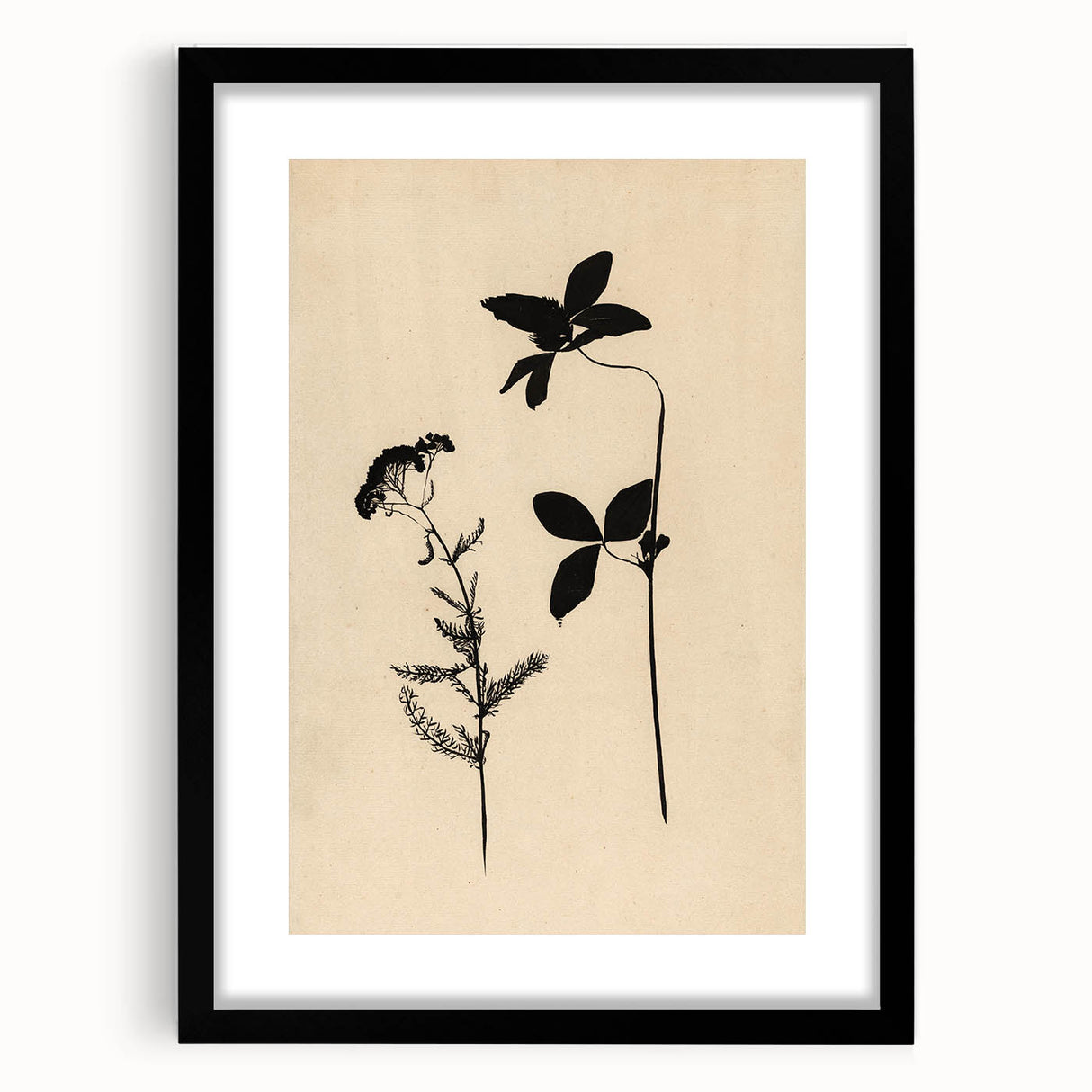 Grunge Wall Art - Botanical Silhouette Grunge Canvas Print for Decor