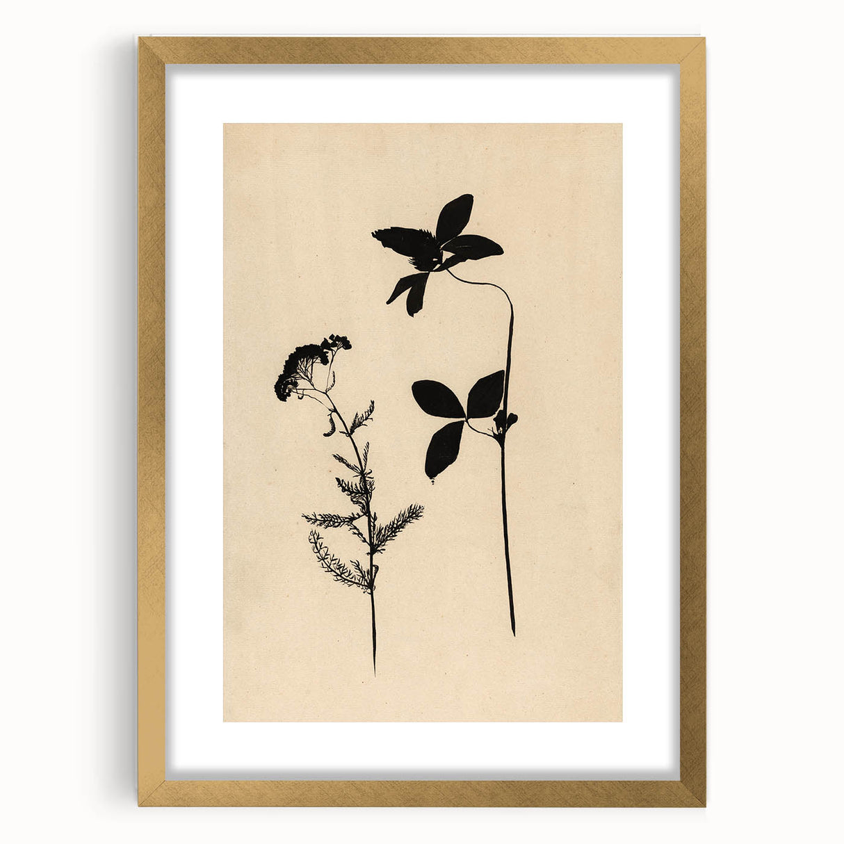 Grunge Wall Art - Botanical Silhouette Grunge Canvas Print for Decor