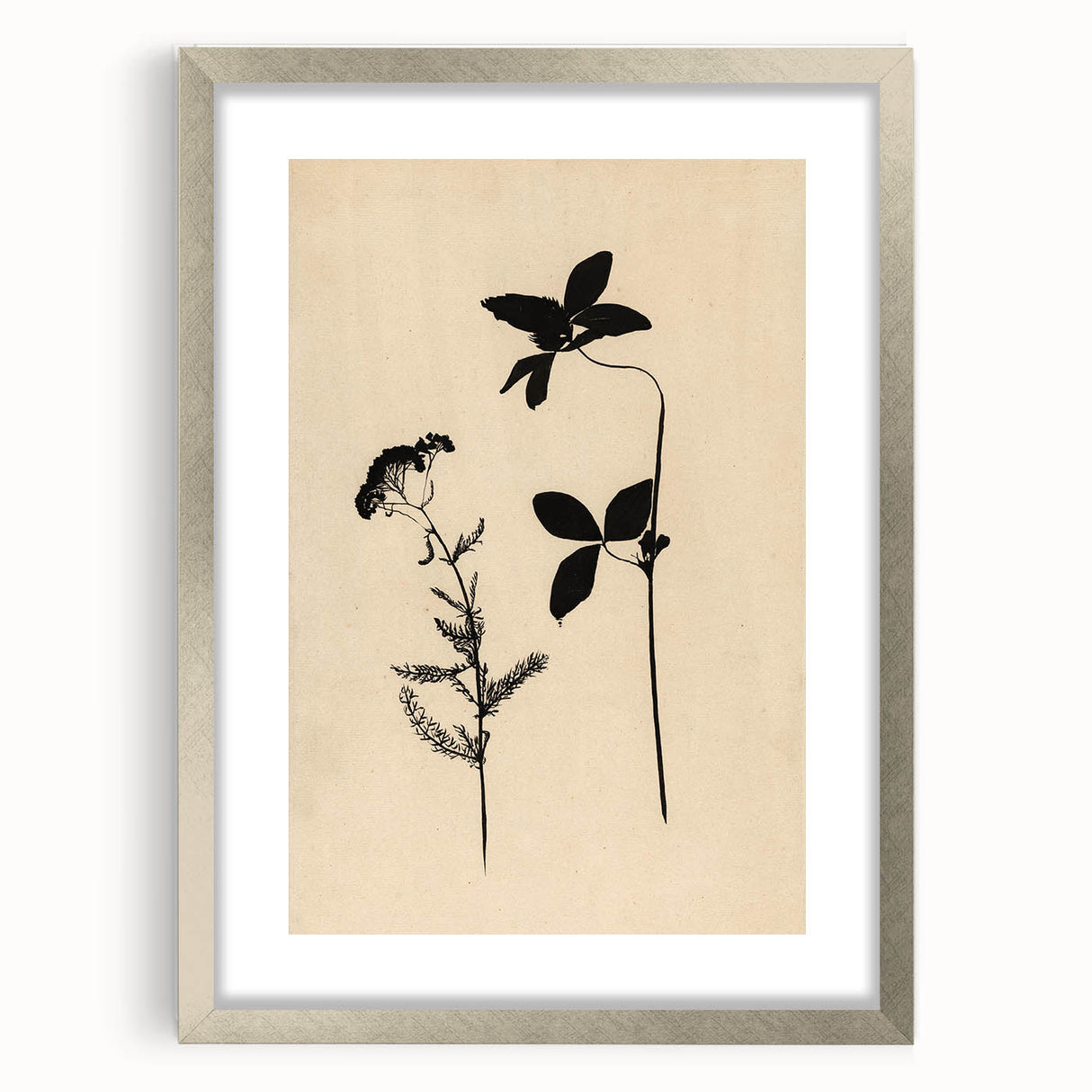 Grunge Wall Art - Botanical Silhouette Grunge Canvas Print for Decor