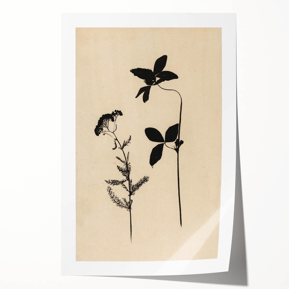 Grunge Wall Art - Botanical Silhouette Grunge Canvas Print for Decor