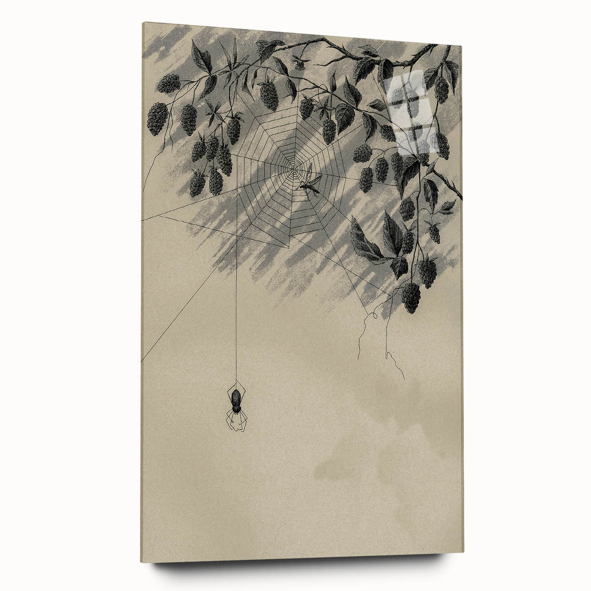 Grunge Wall Art - Spider Web and Berries Vintage Grunge Canvas Print