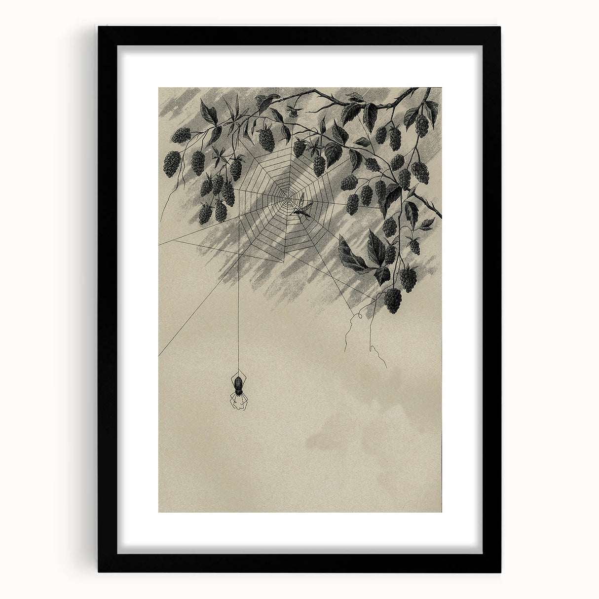 Grunge Wall Art - Spider Web and Berries Vintage Grunge Canvas Print