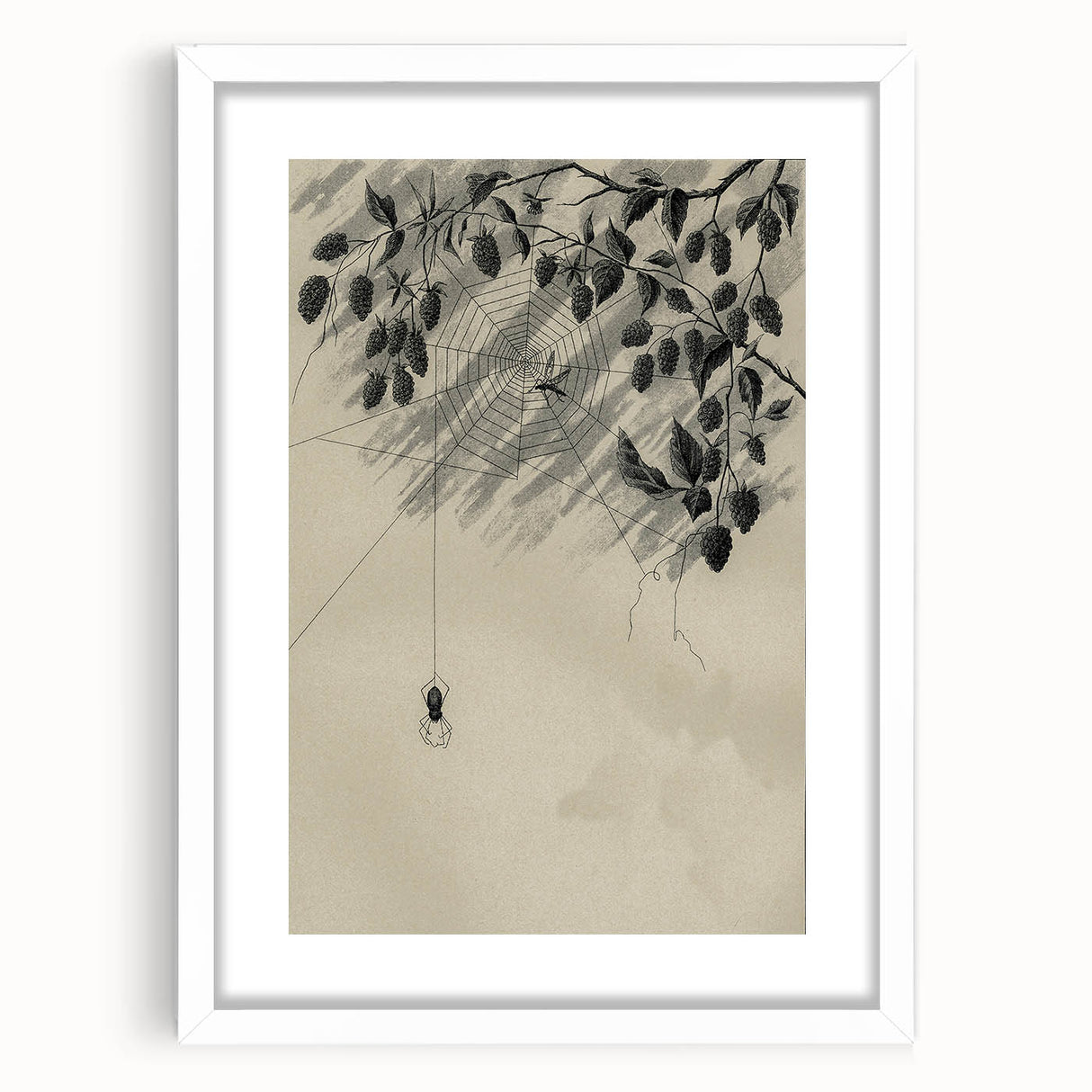 Grunge Wall Art - Spider Web and Berries Vintage Grunge Canvas Print