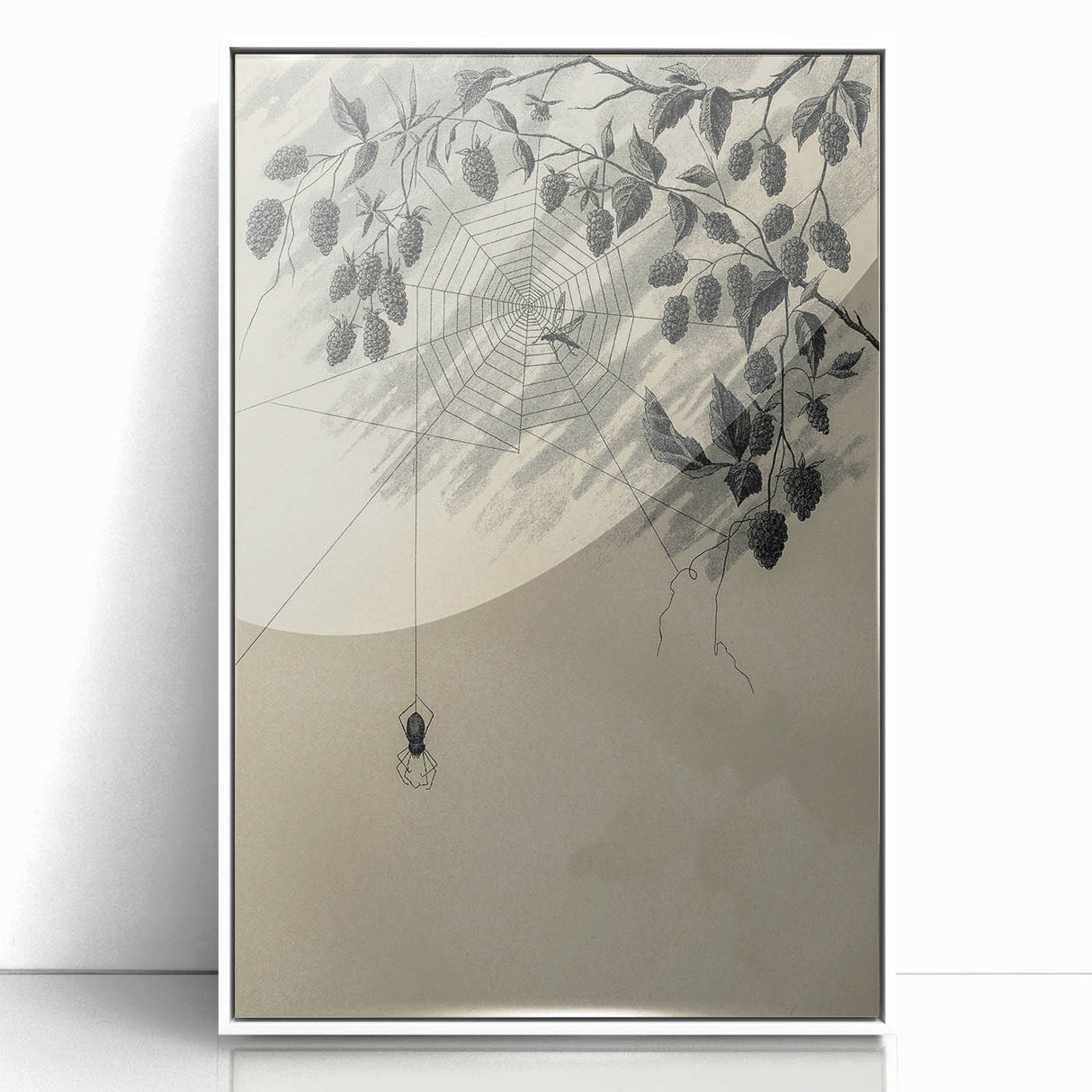 Grunge Wall Art - Spider Web and Berries Vintage Grunge Canvas Print