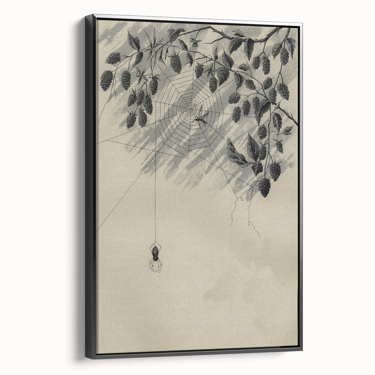 Grunge Wall Art - Spider Web and Berries Vintage Grunge Canvas Print