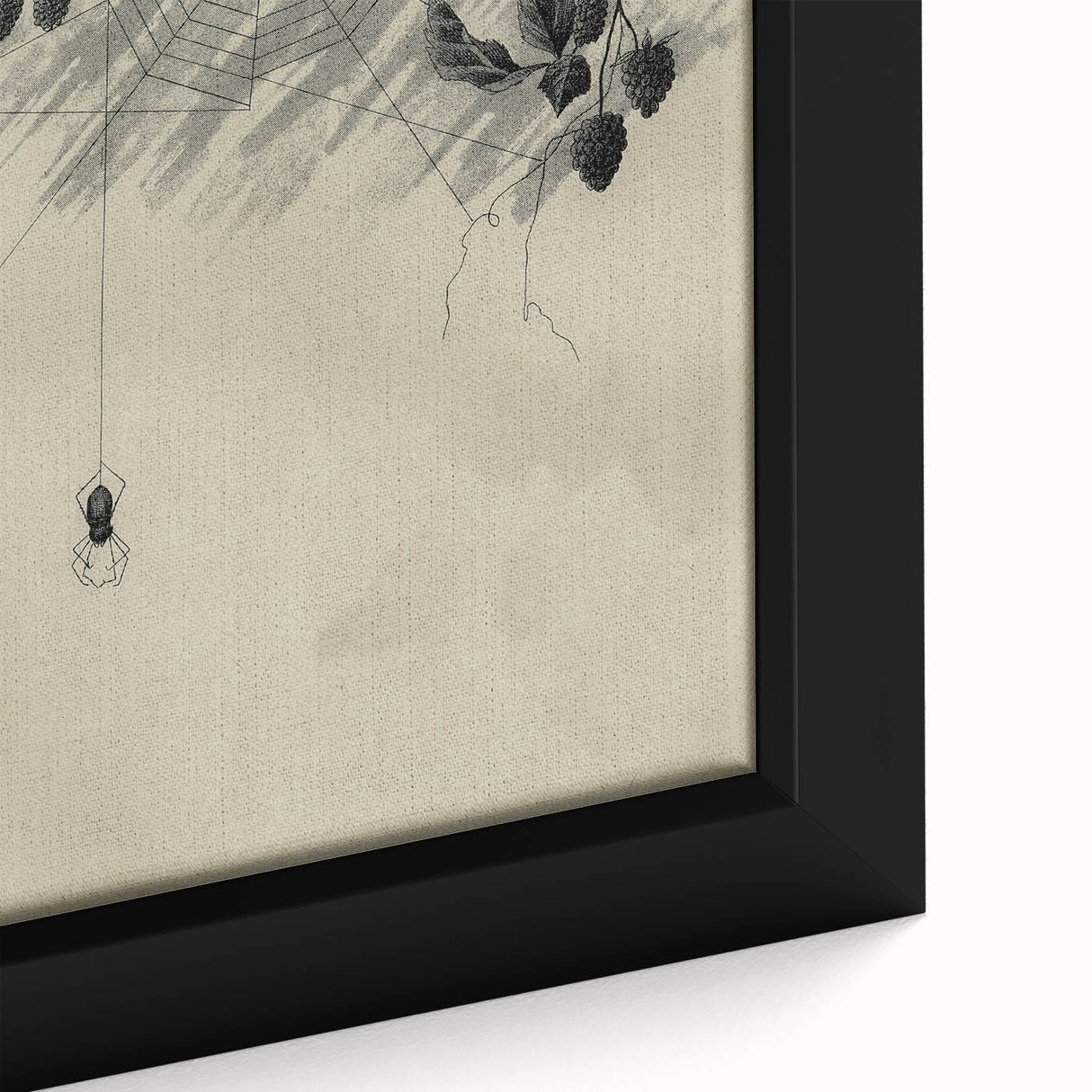 Grunge Wall Art - Spider Web and Berries Vintage Grunge Canvas Print
