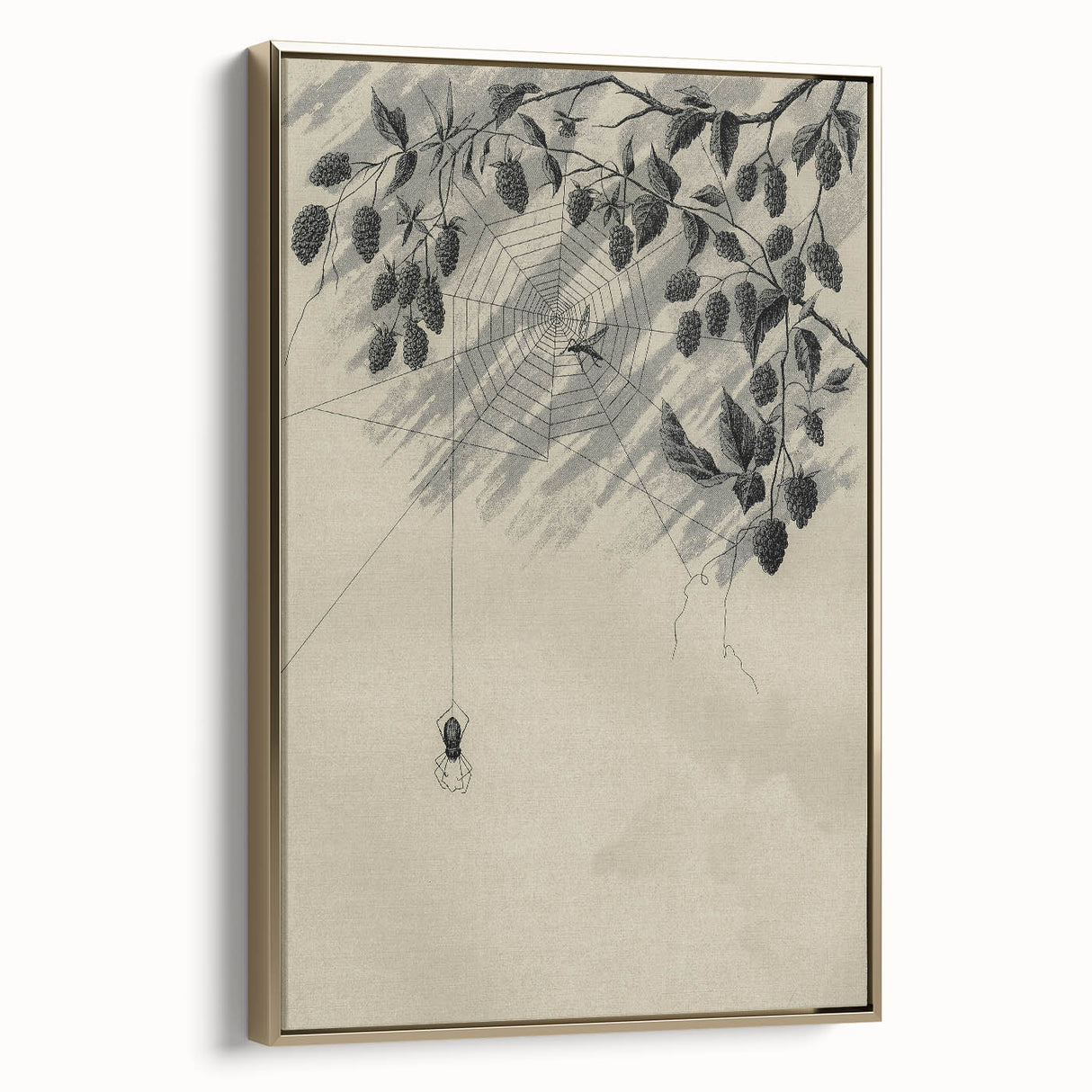 Grunge Wall Art - Spider Web and Berries Vintage Grunge Canvas Print