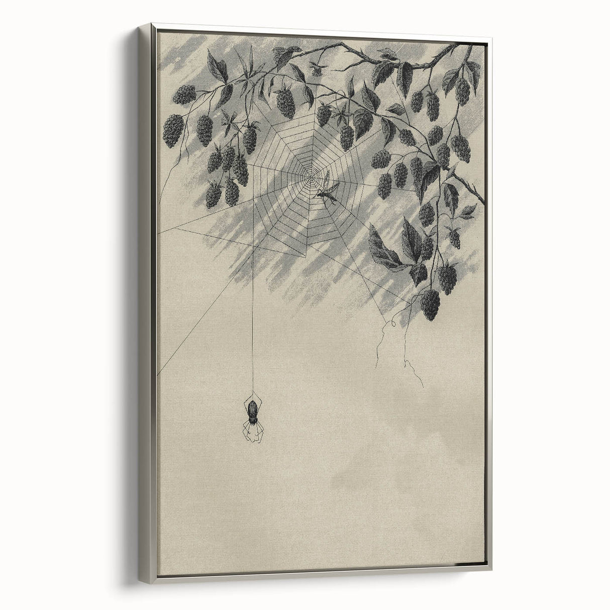 Grunge Wall Art - Spider Web and Berries Vintage Grunge Canvas Print