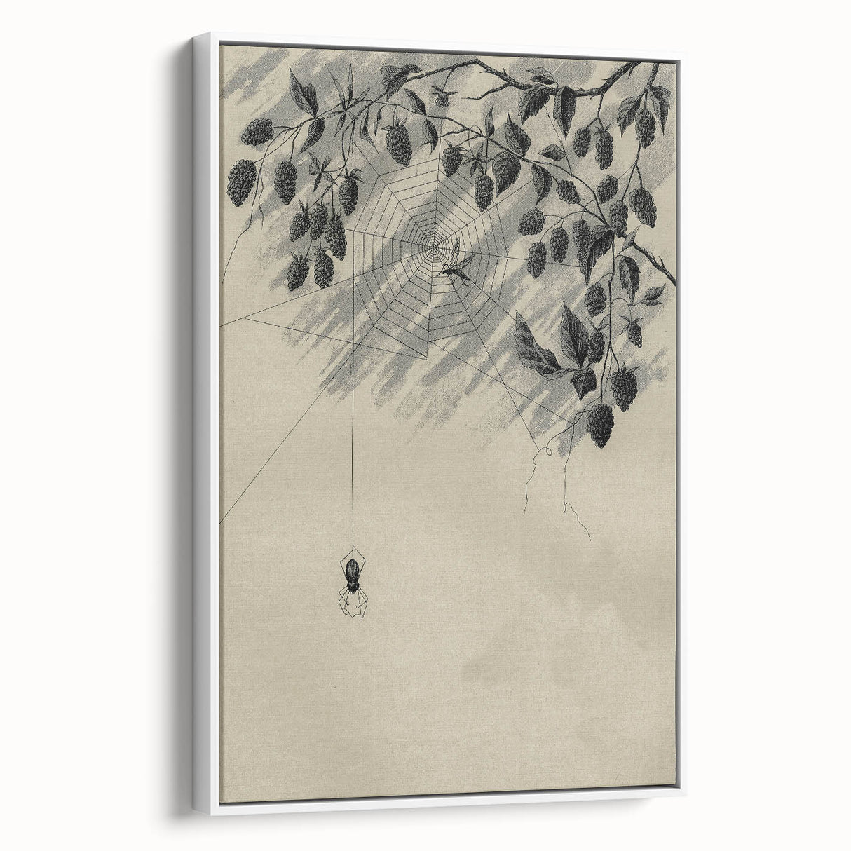 Grunge Wall Art - Spider Web and Berries Vintage Grunge Canvas Print