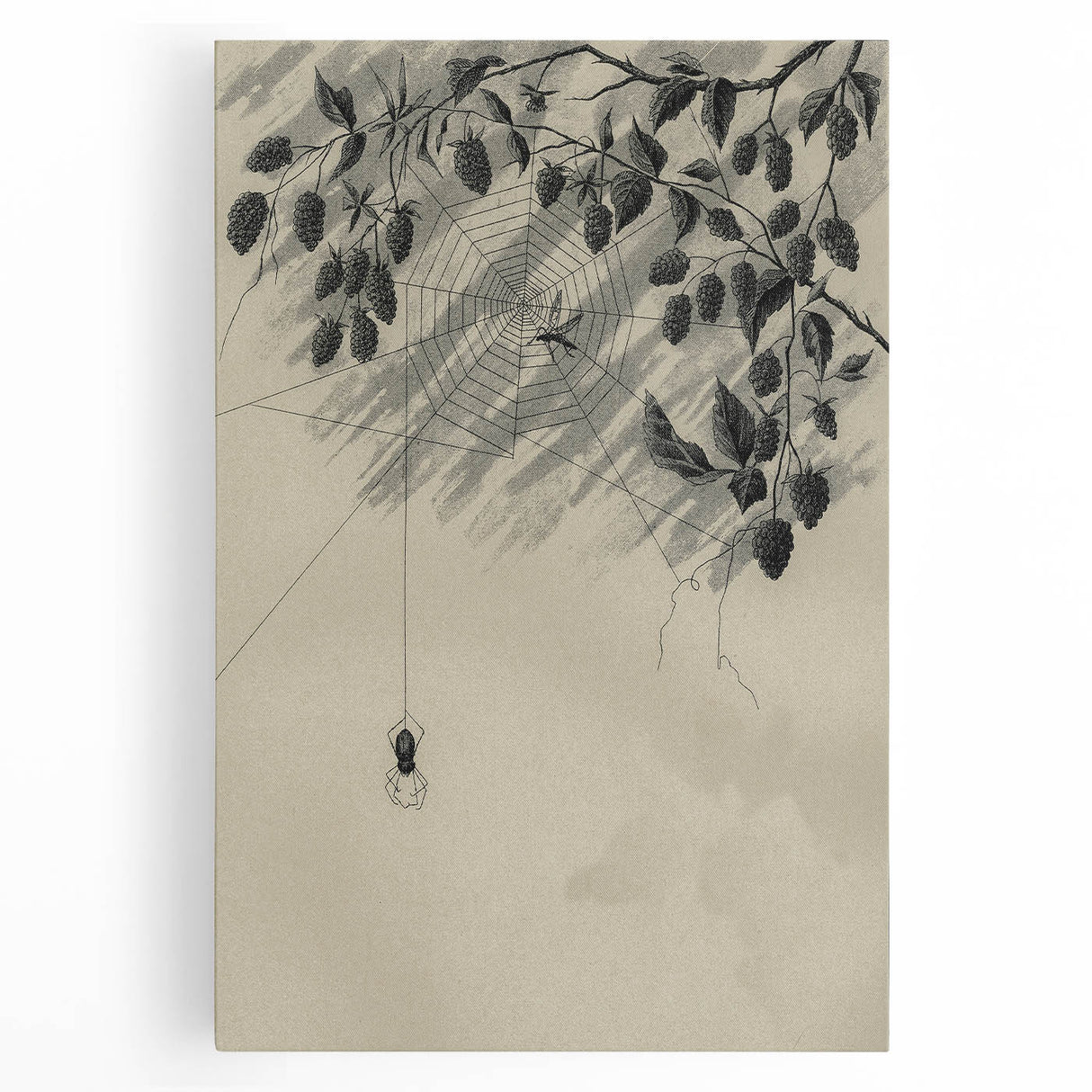 Grunge Wall Art - Spider Web and Berries Vintage Grunge Canvas Print