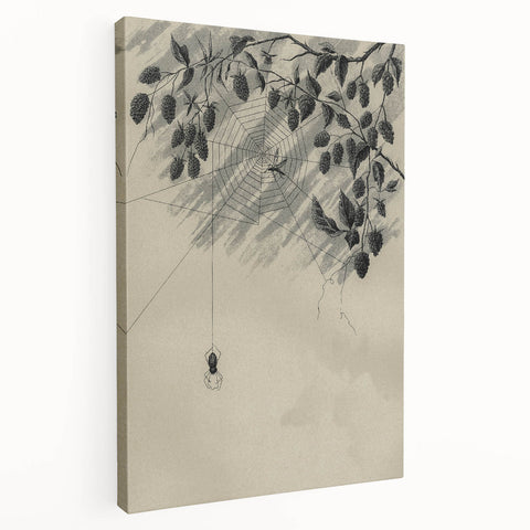 Grunge Wall Art - Spider Web and Berries Vintage Grunge Canvas Print