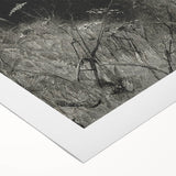 Grunge Aesthetic Art: Dark Butterfly Grunge Wall Art on Canvas